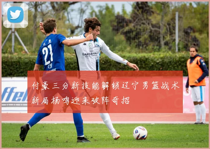 付豪三分新技能解锁辽宁男篮战术新局杨鸣迎来破阵奇招