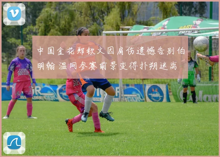 中国金花郑钦文因肩伤遗憾告别伯明翰 温网参赛前景变得扑朔迷离