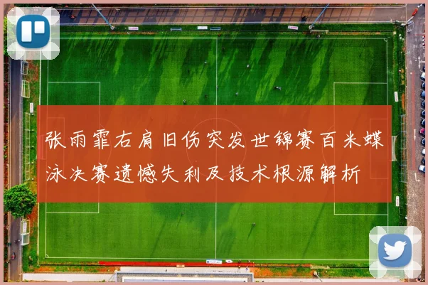 张雨霏右肩旧伤突发世锦赛百米蝶泳决赛遗憾失利及技术根源解析