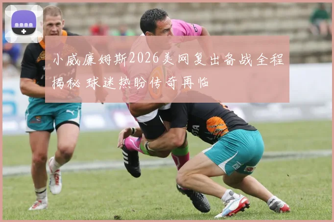 小威廉姆斯2026美网复出备战全程揭秘 球迷热盼传奇再临